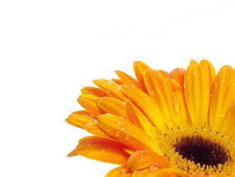 Similar image 157085