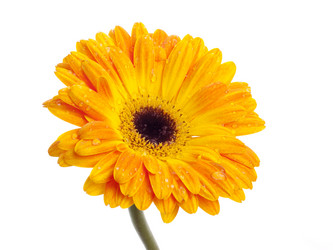 Similar image 157086