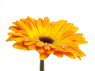 Similar image 157087