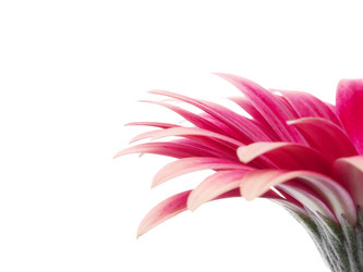 Similar image 157089