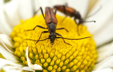 Similar image 157091