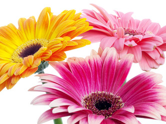 Similar image 157092