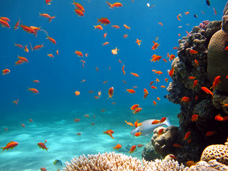 Similar image 157099