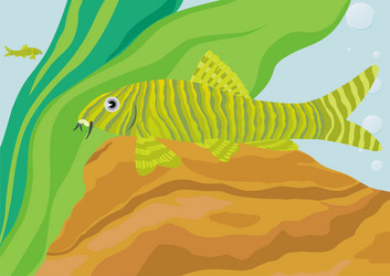 Similar image 157106