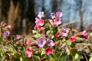 Similar image 157108