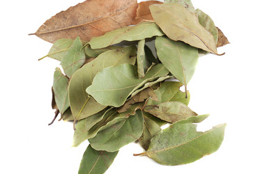 Similar image 157185