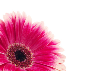 Similar image 157199