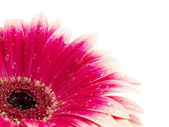 Similar image 157200