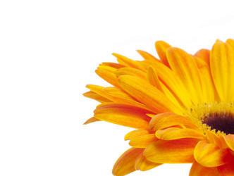 Similar image 157202