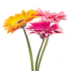 Similar image 157204