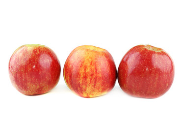 Similar image 157250