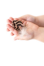 Similar image 157262