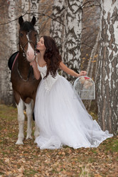 Similar image 157311