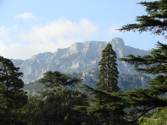 Similar image 157322