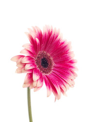 Similar image 157323