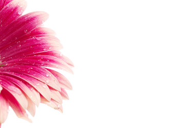 Similar image 157324