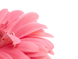 Similar image 157330