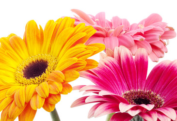 Similar image 157332