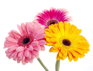 Similar image 157333