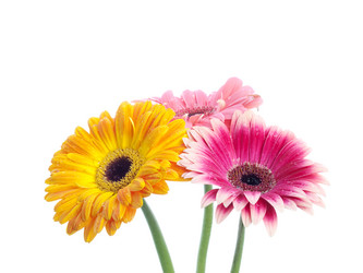 Similar image 157335