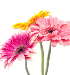 Similar image 157337