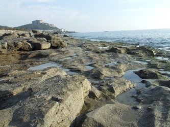 Similar image 157355