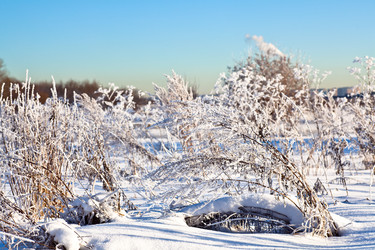 Similar image 157381