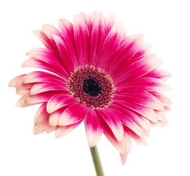 Similar image 157394