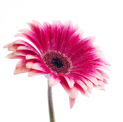 Similar image 157396