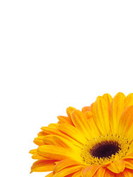 Similar image 157397