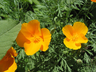 Similar image 157420