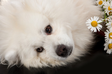 Similar image 157423