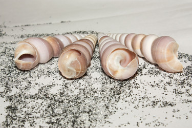 Similar image 157424