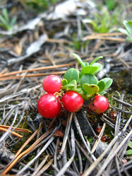 Similar image 157427