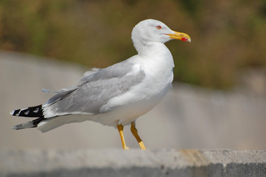 Similar image 157442