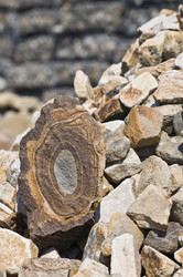 Similar image 157445