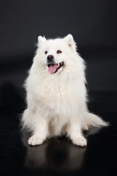 Similar image 157449