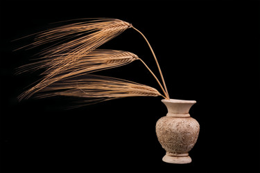 Similar image 157451