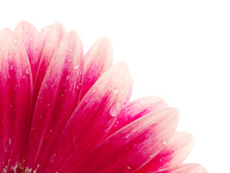 Similar image 157464