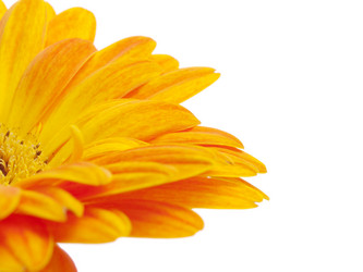 Similar image 157466