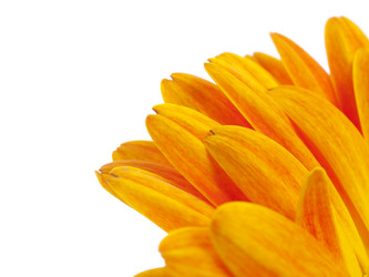 Similar image 157467