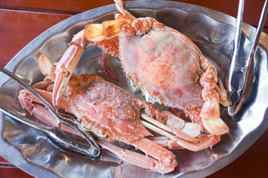 Similar image 157488