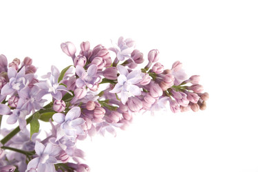 Similar image 157498