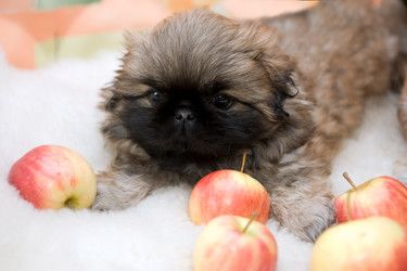 Similar image 157521