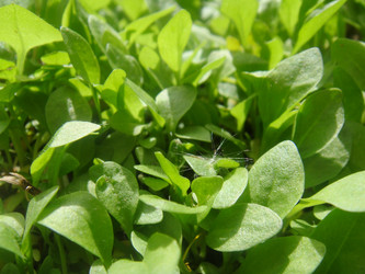 Similar image 157522