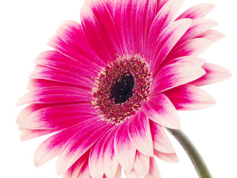 Similar image 157523