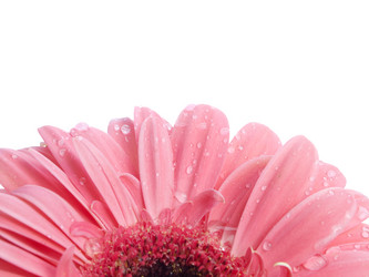 Similar image 157524