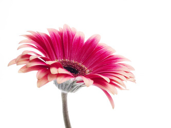 Similar image 157525