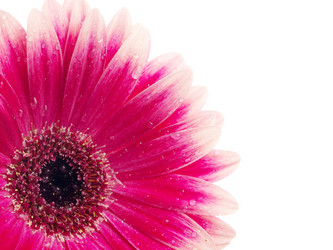 Similar image 157527