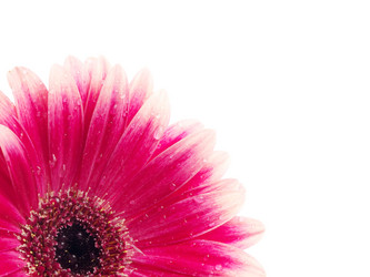 Similar image 157529